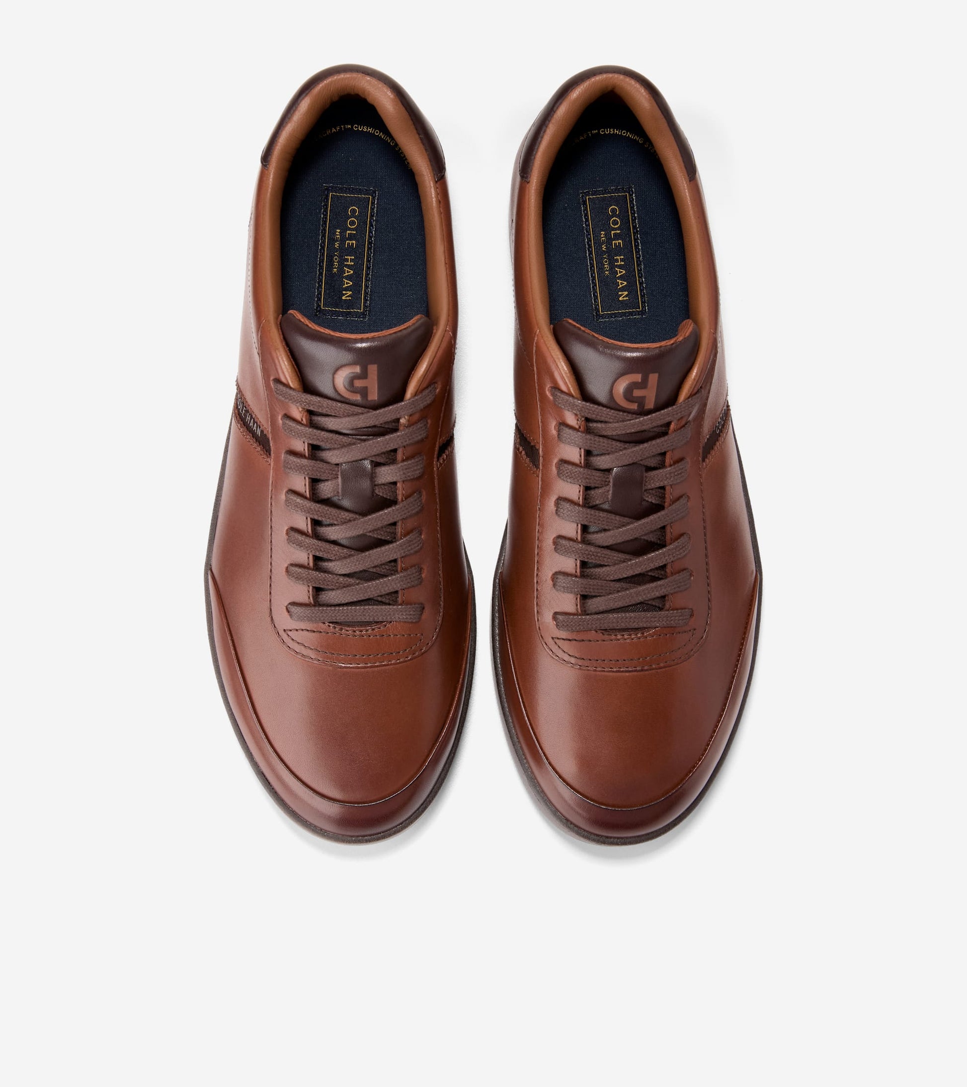 C45123:CH WOODBURY / CH MADEIRA / DARK BROWN
