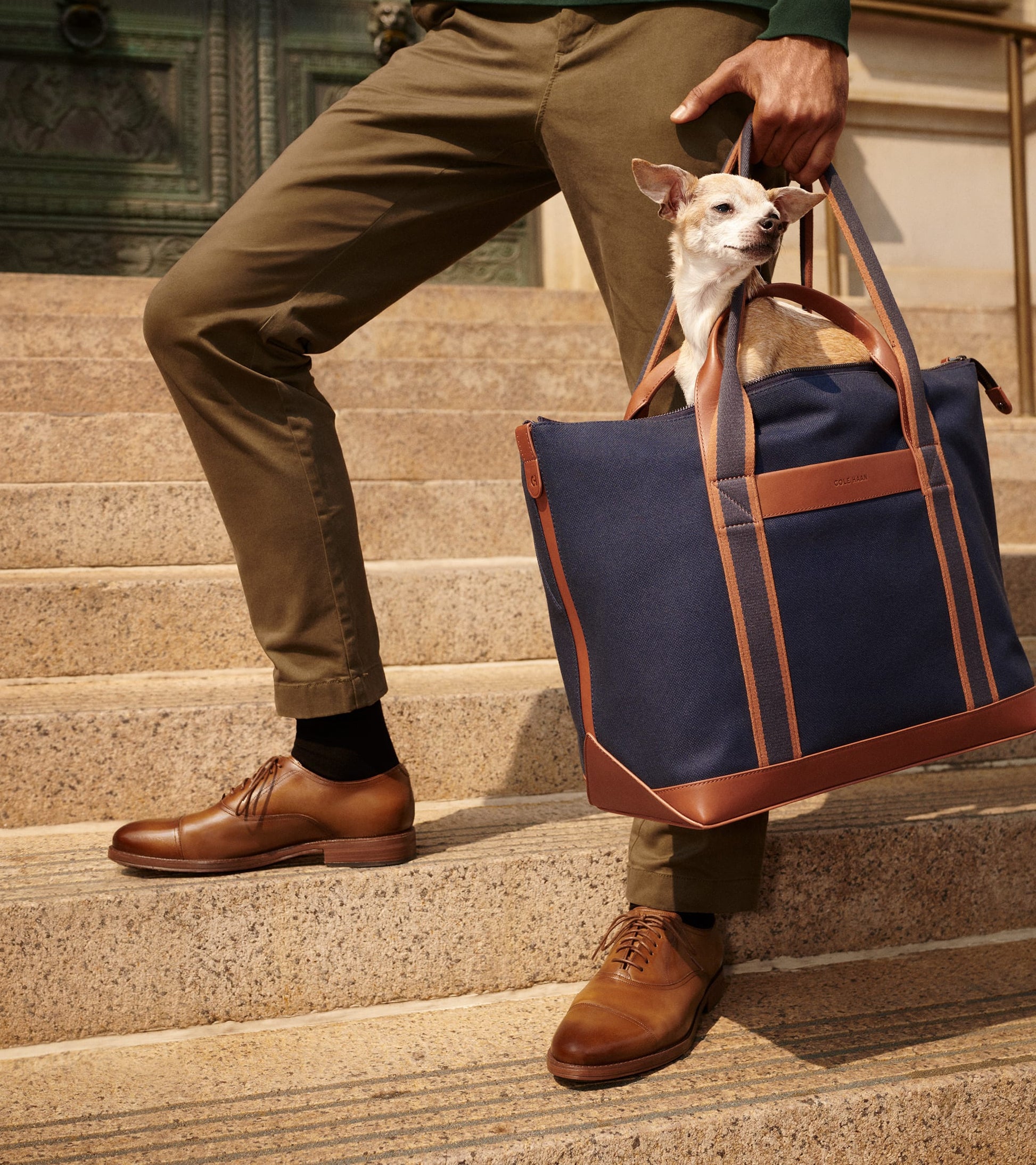 Men's Ledley Grand Cap Toe Oxfords – Cole Haan EUROPE